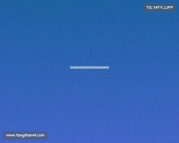 博洛尼亚中场埃贝彻尔租借加盟意甲升班马比萨开启新征程