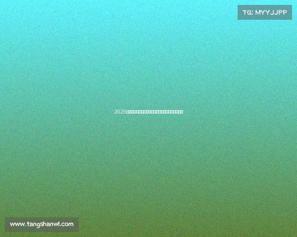 2025赛季法甲射手榜前十名球员表现解析与竞争态势分析